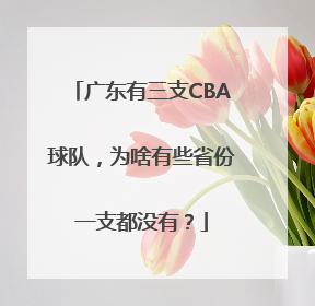 广东有三支CBA球队，为啥有些省份一支都没有？