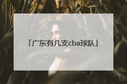 「广东有几支cba球队」广东有几支cba球队名单