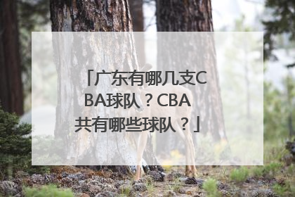 广东有哪几支CBA球队？CBA共有哪些球队？