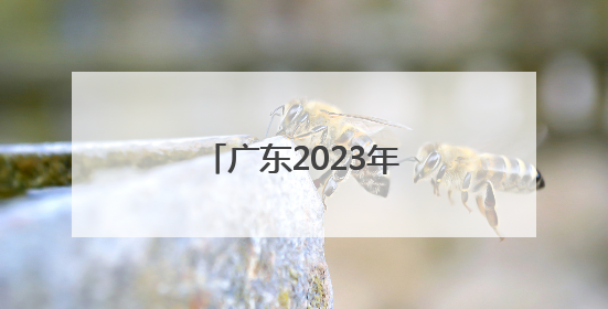 「广东2023年高考有体育吗」2023年广东体育高考时间