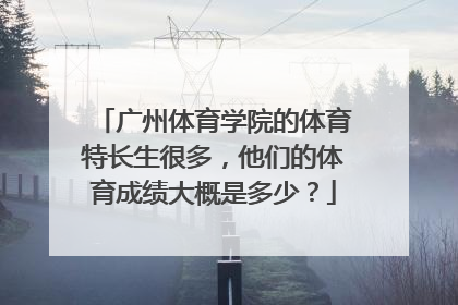 广州体育学院的体育特长生很多，他们的体育成绩大概是多少？