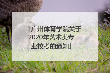 广州体育学院关于2020年艺术类专业校考的通知