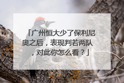 广州恒大少了保利尼奥之后，表现判若两队，对此你怎么看？