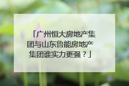 广州恒大房地产集团与山东鲁能房地产集团谁实力更强？