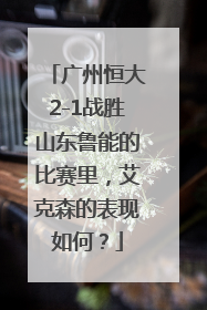 广州恒大2-1战胜山东鲁能的比赛里，艾克森的表现如何？