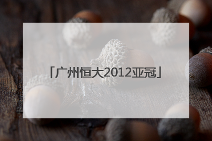 「广州恒大2012亚冠」广州恒大亚冠冠军2013