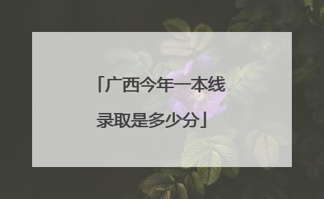 广西今年一本线录取是多少分