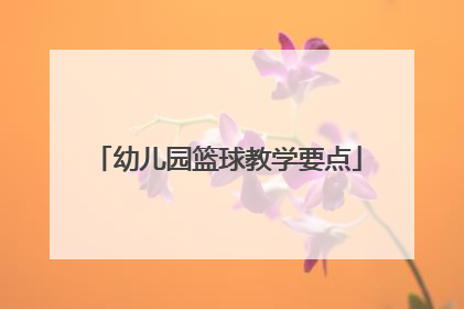 幼儿园篮球教学要点