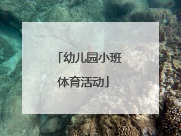 「幼儿园小班体育活动」幼儿园小班体育活动名称