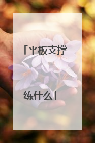 平板支撑练什么