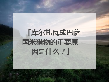 库尔扎瓦成巴萨国米猎物的重要原因是什么？