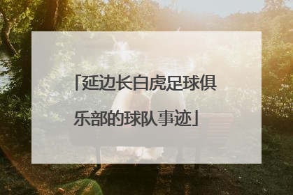 延边长白虎足球俱乐部的球队事迹