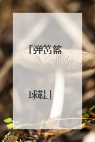 「弹簧篮球鞋」弹簧篮球鞋在哪能买到