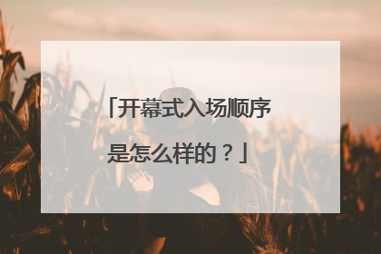 开幕式入场顺序是怎么样的？