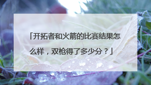 开拓者和火箭的比赛结果怎么样，双枪得了多少分？