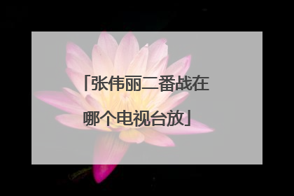 张伟丽二番战在哪个电视台放