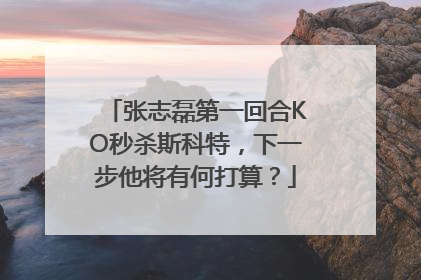 张志磊第一回合KO秒杀斯科特，下一步他将有何打算？