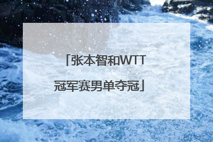 「张本智和WTT冠军赛男单夺冠」张本智和WTT冠军赛男单夺冠采访