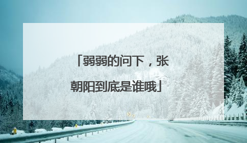 弱弱的问下，张朝阳到底是谁哦