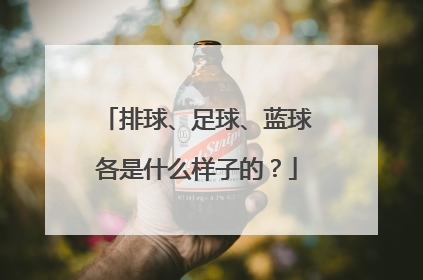 排球、足球、蓝球各是什么样子的？