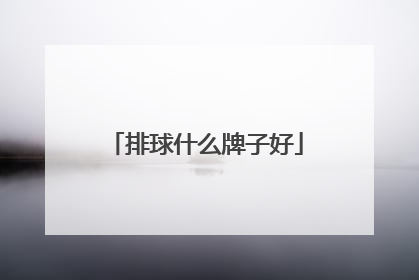 排球什么牌子好