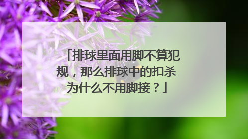 排球里面用脚不算犯规，那么排球中的扣杀为什么不用脚接？