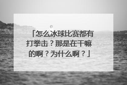 怎么冰球比赛都有打拳击？那是在干嘛的啊？为什么啊？