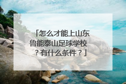 怎么才能上山东鲁能泰山足球学校？有什么条件？