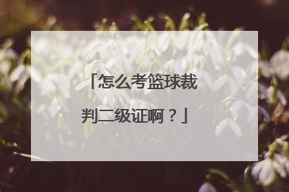 怎么考篮球裁判二级证啊？