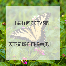 怎样向CCTV5的天下足球栏目提意见