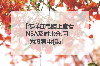 怎样在电脑上查看NBA及时比分,因为没看电视a