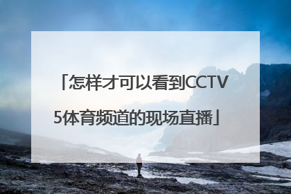 怎样才可以看到CCTV5体育频道的现场直播