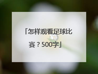 怎样观看足球比赛？500字