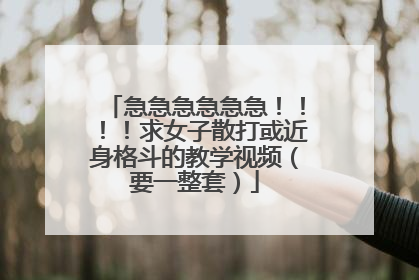 急急急急急急！！！！求女子散打或近身格斗的教学视频（要一整套）