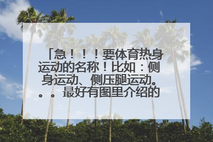 急！！！要体育热身运动的名称！比如：侧身运动、侧压腿运动。。。最好有图里介绍的那样，跪求！