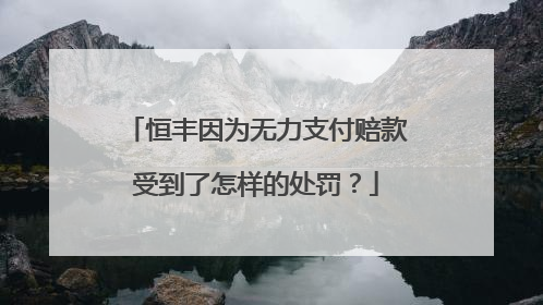 恒丰因为无力支付赔款受到了怎样的处罚？