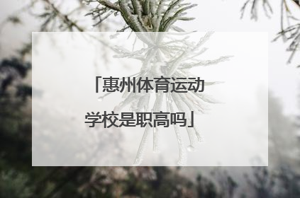 惠州体育运动学校是职高吗