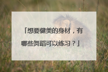 想要健美的身材，有哪些舞蹈可以练习？