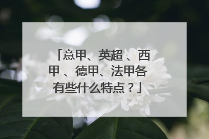 意甲、英超 、西甲 、德甲、法甲各有些什么特点？