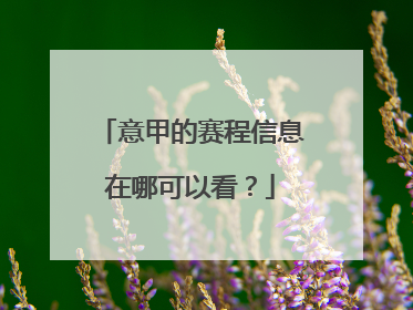 意甲的赛程信息在哪可以看？