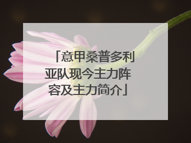 意甲桑普多利亚队现今主力阵容及主力简介