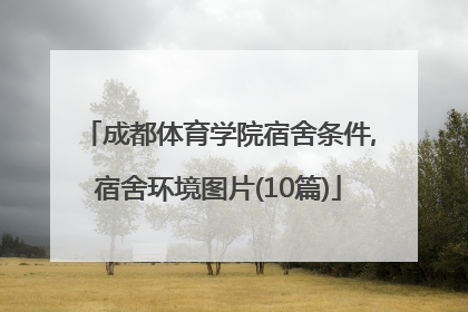 成都体育学院宿舍条件,宿舍环境图片(10篇)