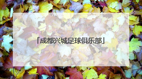 「成都兴城足球俱乐部」成都兴城足球俱乐部球员工资