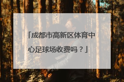 成都市高新区体育中心足球场收费吗？