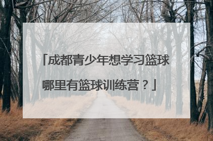 成都青少年想学习篮球哪里有篮球训练营？