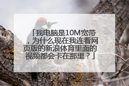 我电脑是10M宽带，为什么现在我连看网页版的新浪体育里面的视频都会卡在那里？