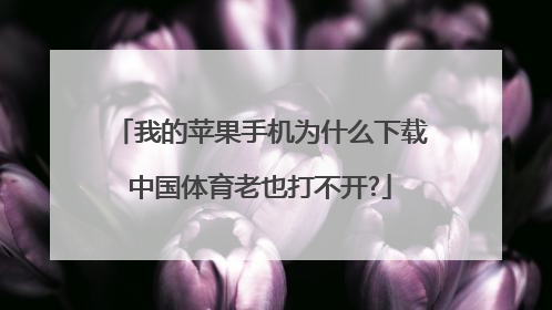 我的苹果手机为什么下载中国体育老也打不开?