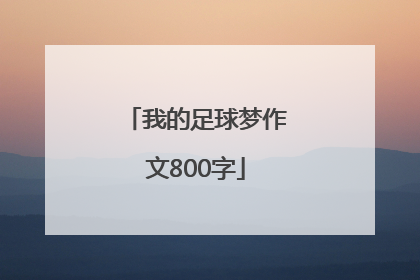 我的足球梦作文800字