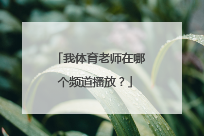 我体育老师在哪个频道播放？