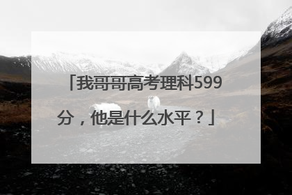 我哥哥高考理科599分，他是什么水平？